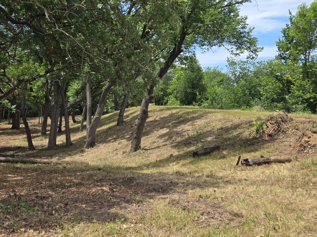 Picture 7