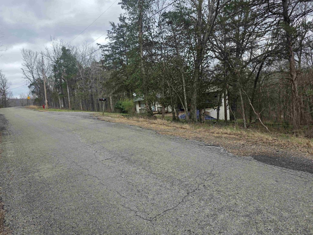 Picture 5