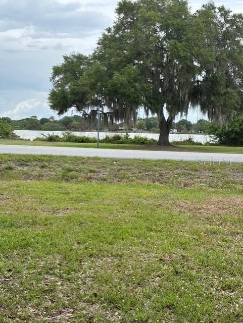 Picture 16