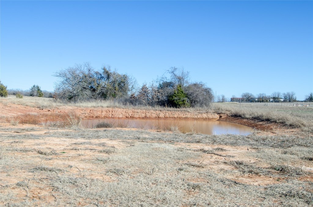 Picture 23