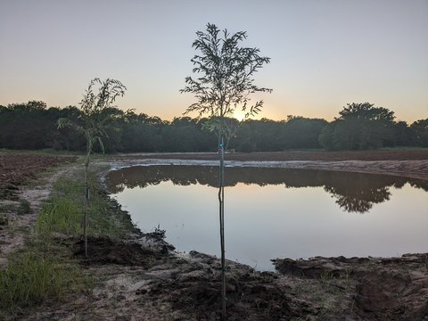 Improved Land Ready For Building