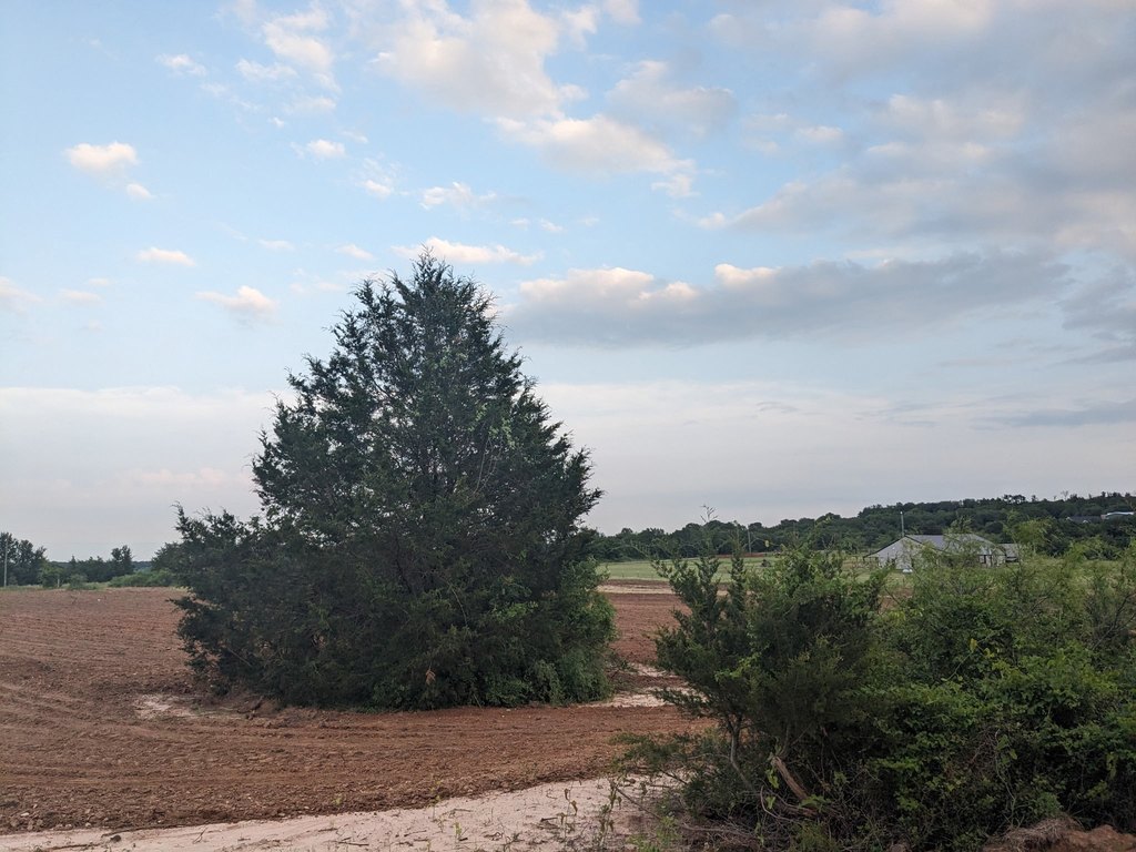 Picture 6