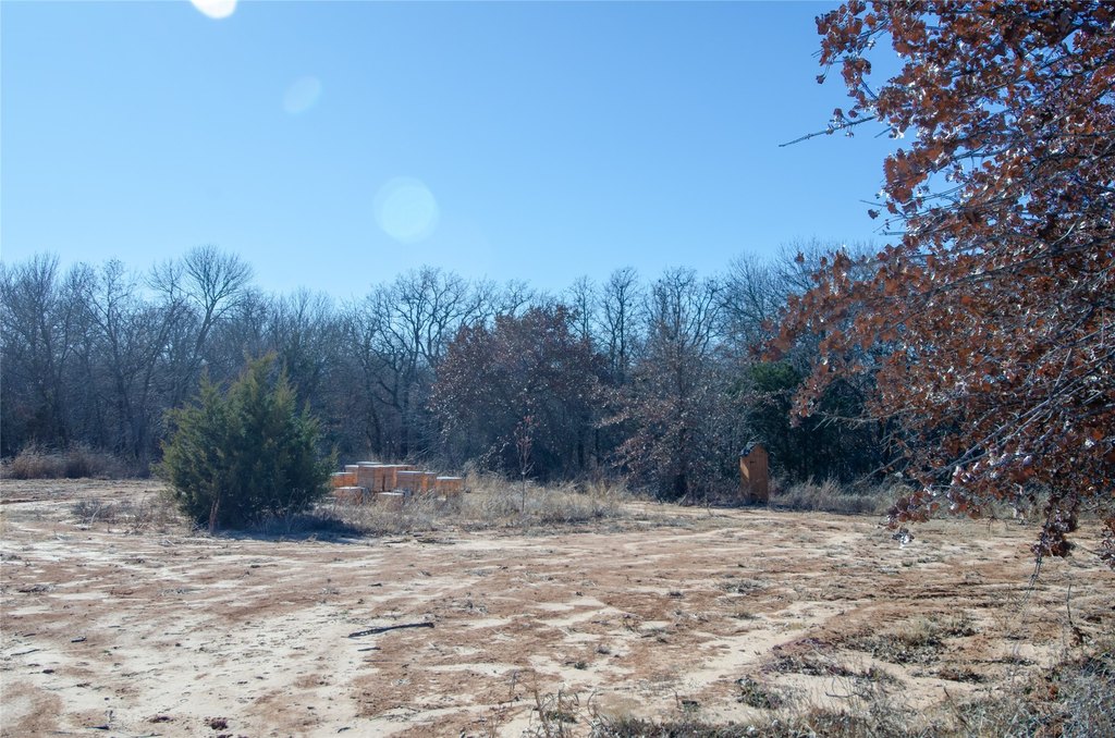 Picture 11