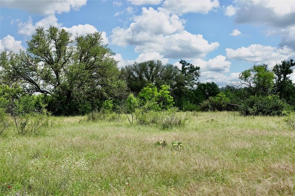 Picture 24