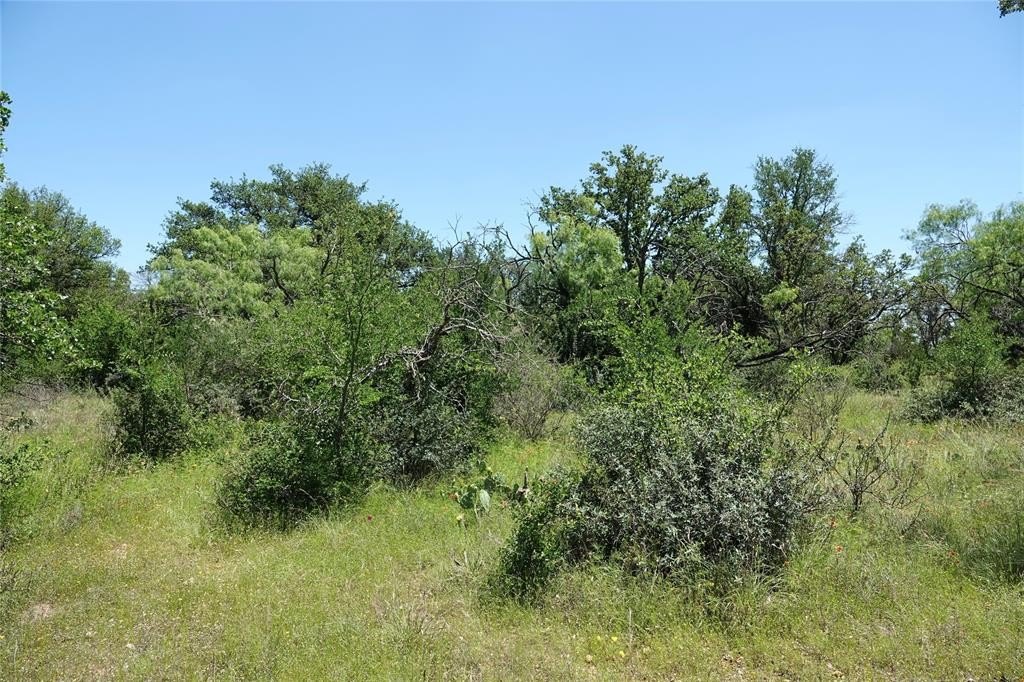 Picture 37