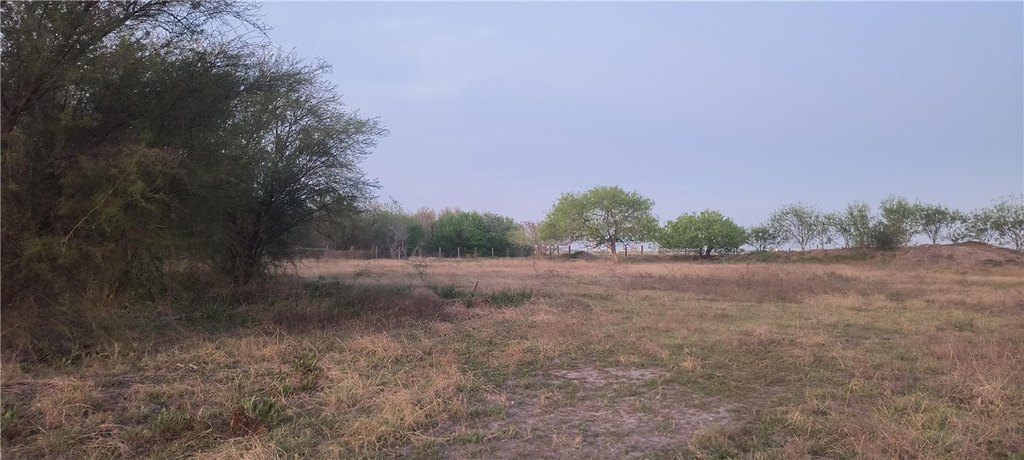 Picture 8
