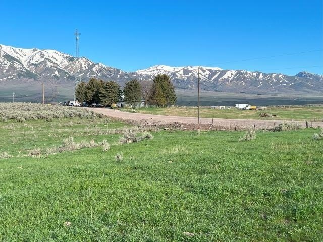 Picture 21
