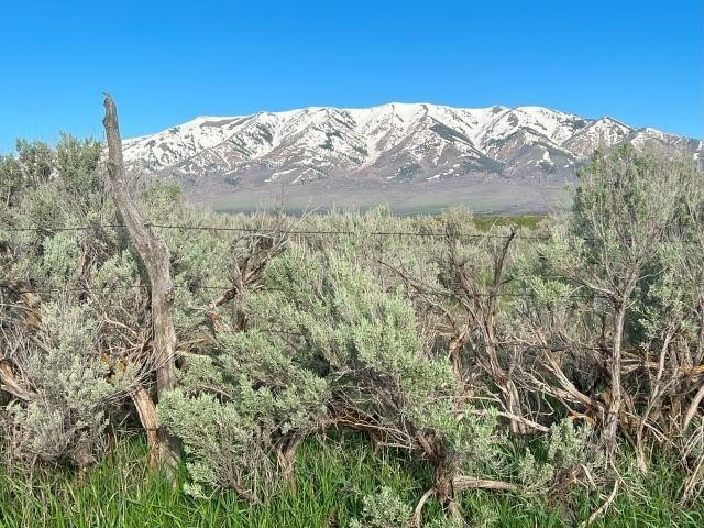Picture 25