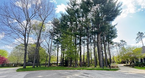 LAND - Stevensville, MI