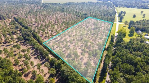 Aiken County Land Parcel