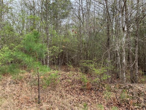 Timber-Brush Land Tract