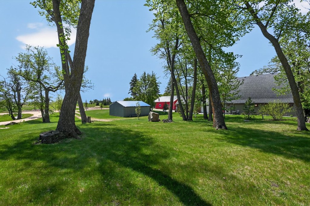 Picture 36