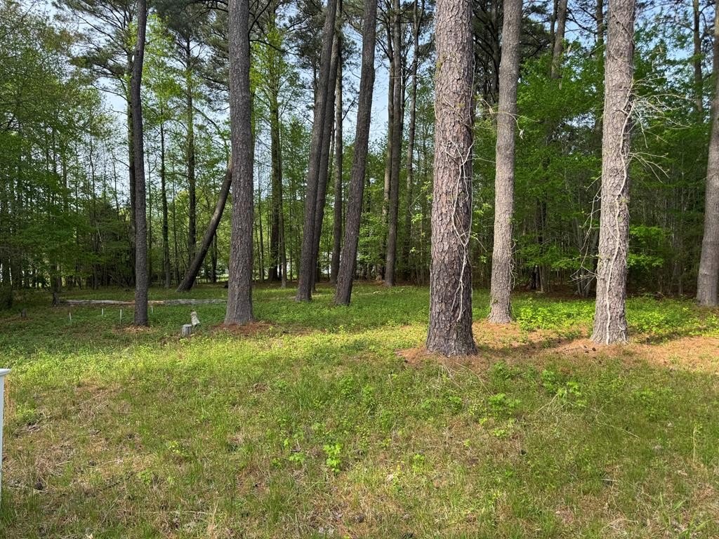 Residential Lot Near Yacht Club