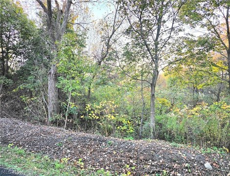 Land, Akron, OH