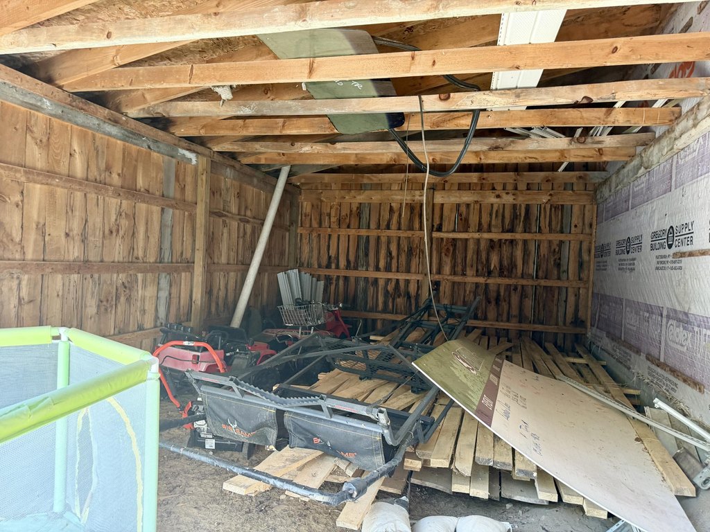Picture 5