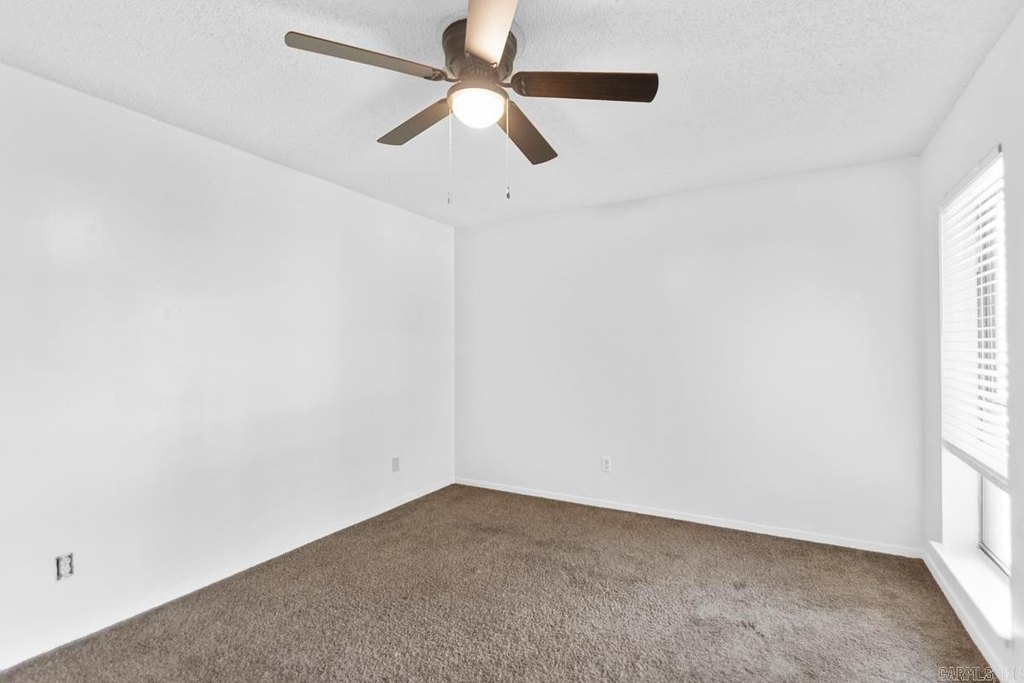 Picture 41