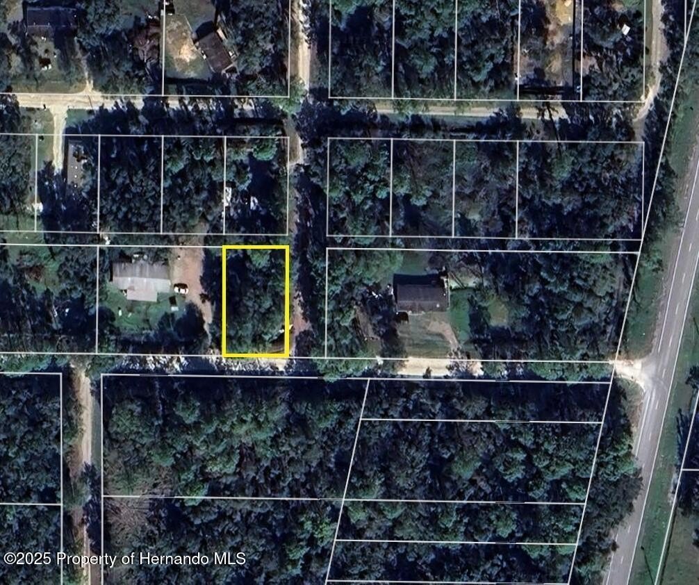 Corner Lot in Webster, FL