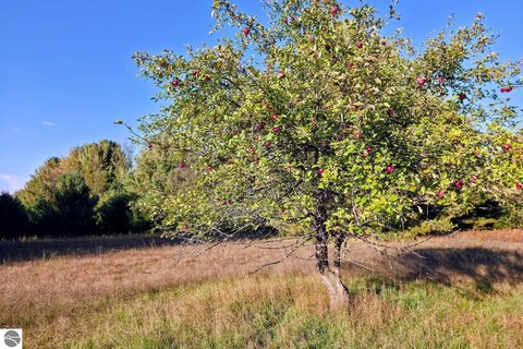 Vacant Lot/Land, Interlochen, MI
