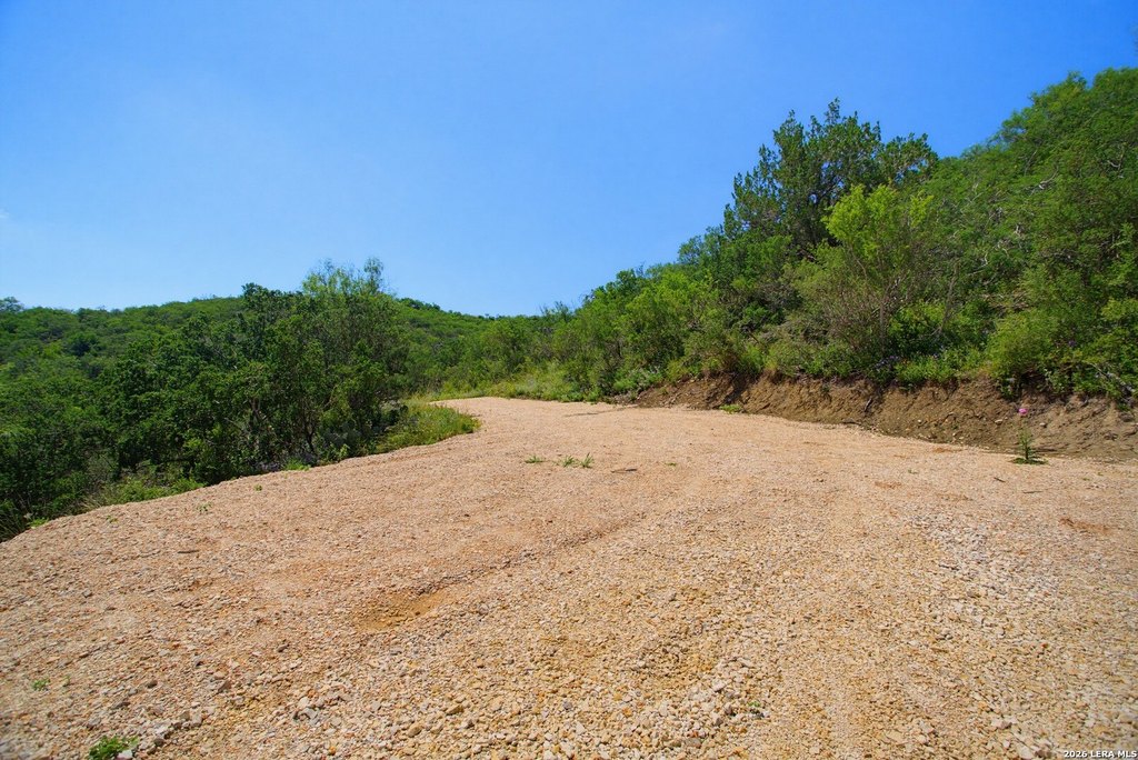 Picture 25