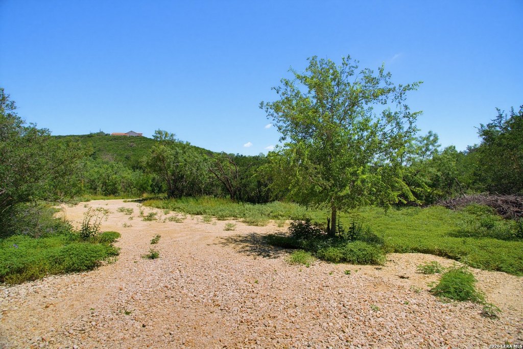 Picture 18