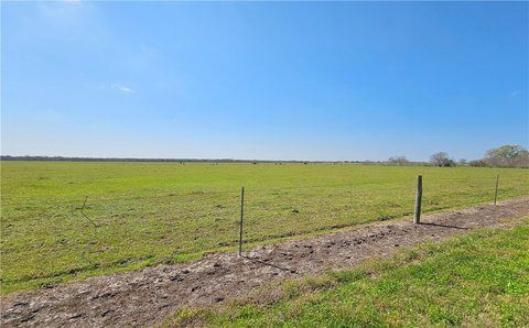 Kingsville Land Tract For Sale