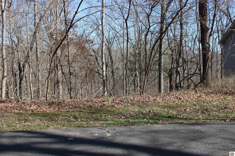Wooded Lot Near Lake Barkley