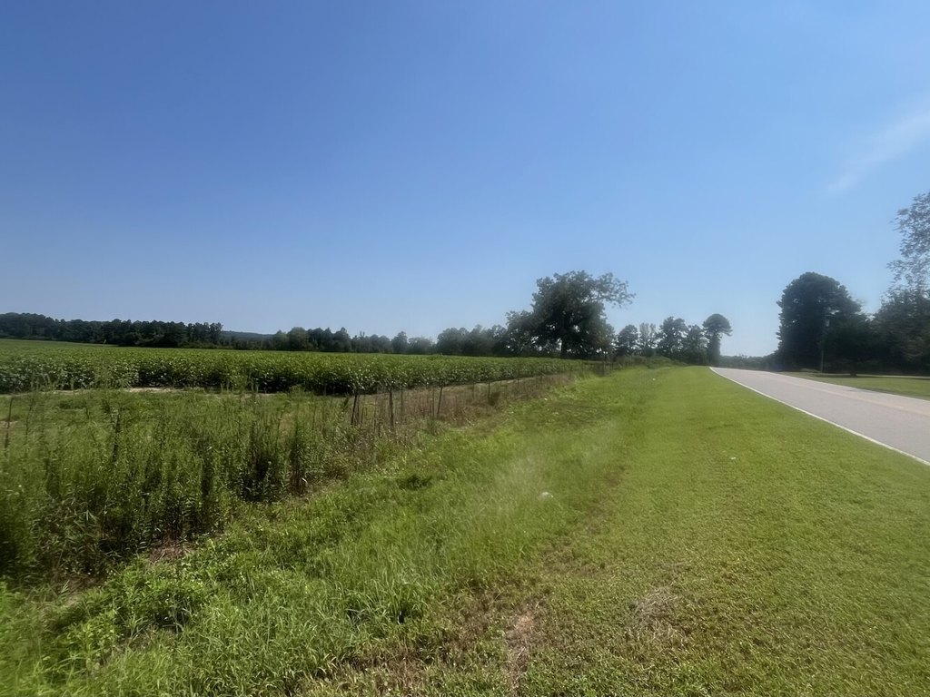 Picture 20