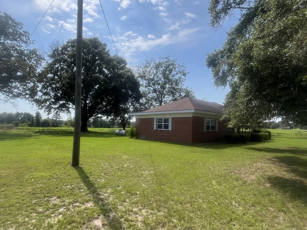 Picture 25
