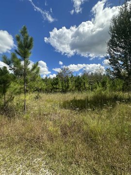 Land, Altha, FL