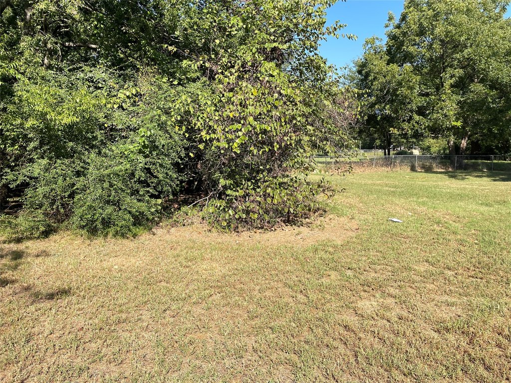 Picture 6