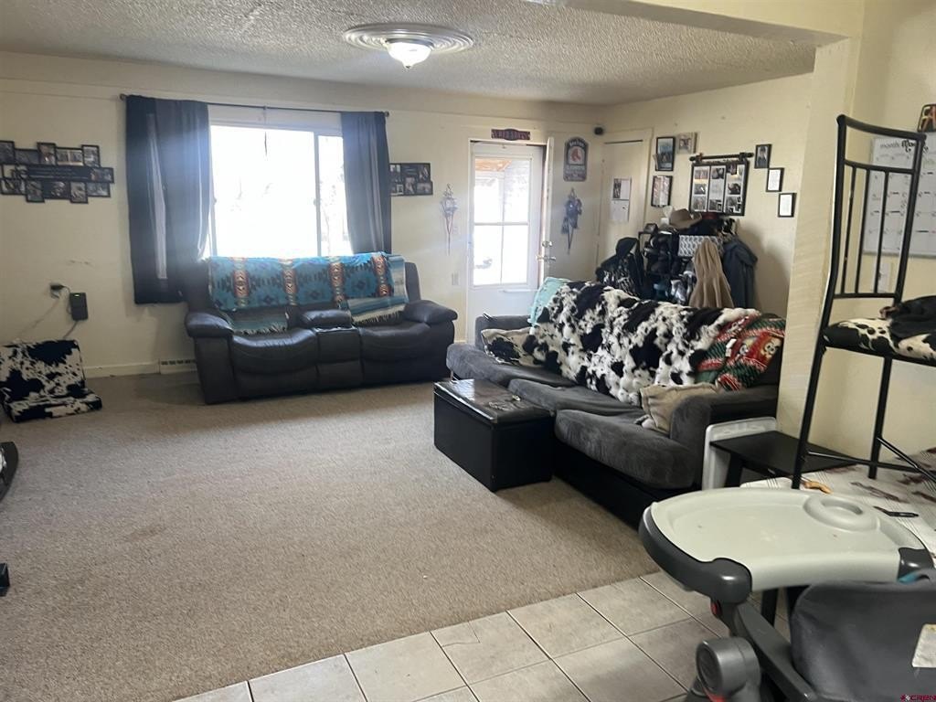 Picture 27