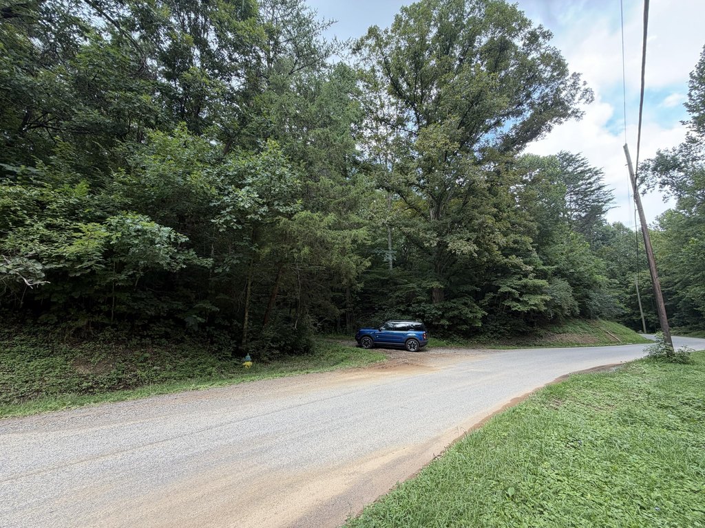Picture 14