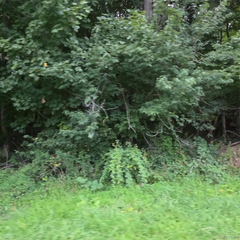 Picture 8