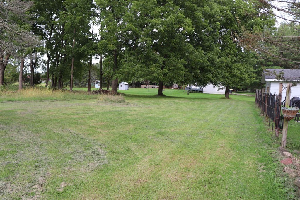 Picture 12
