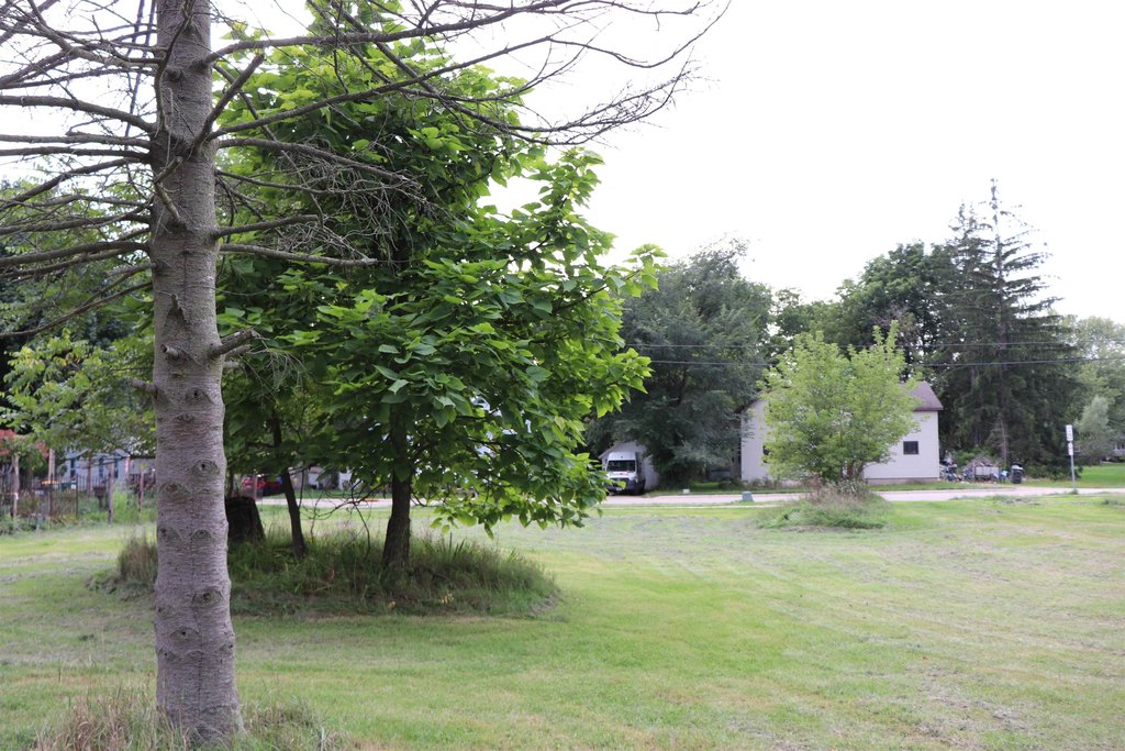 Picture 8