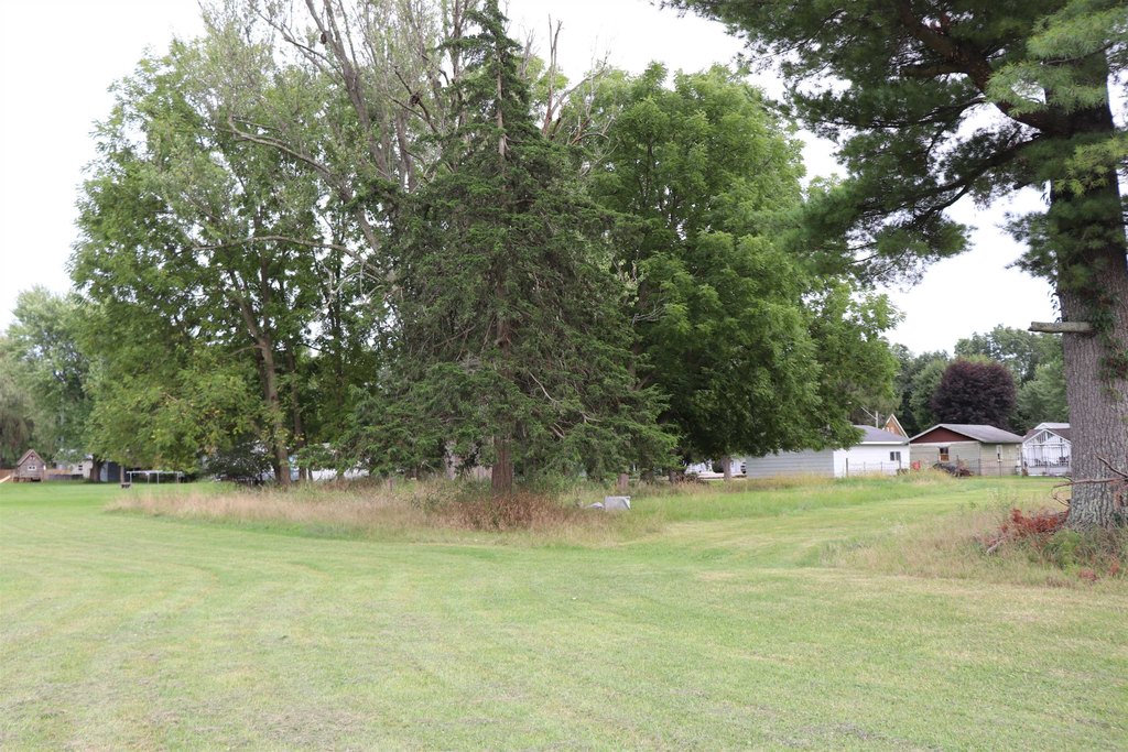 Picture 13
