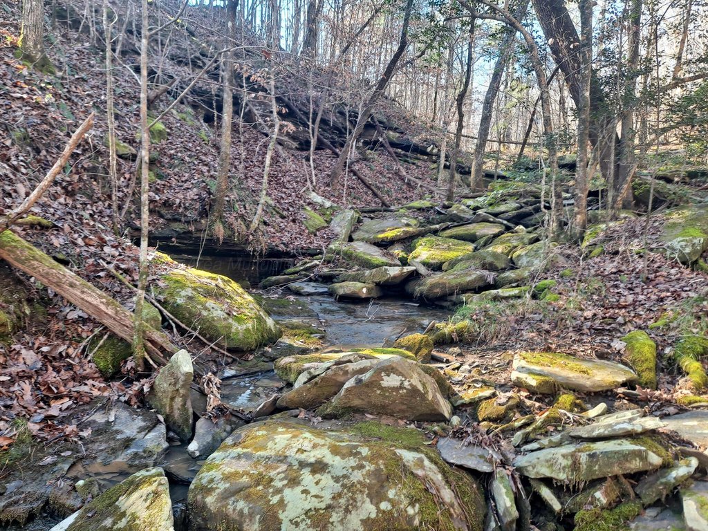 Picture 6