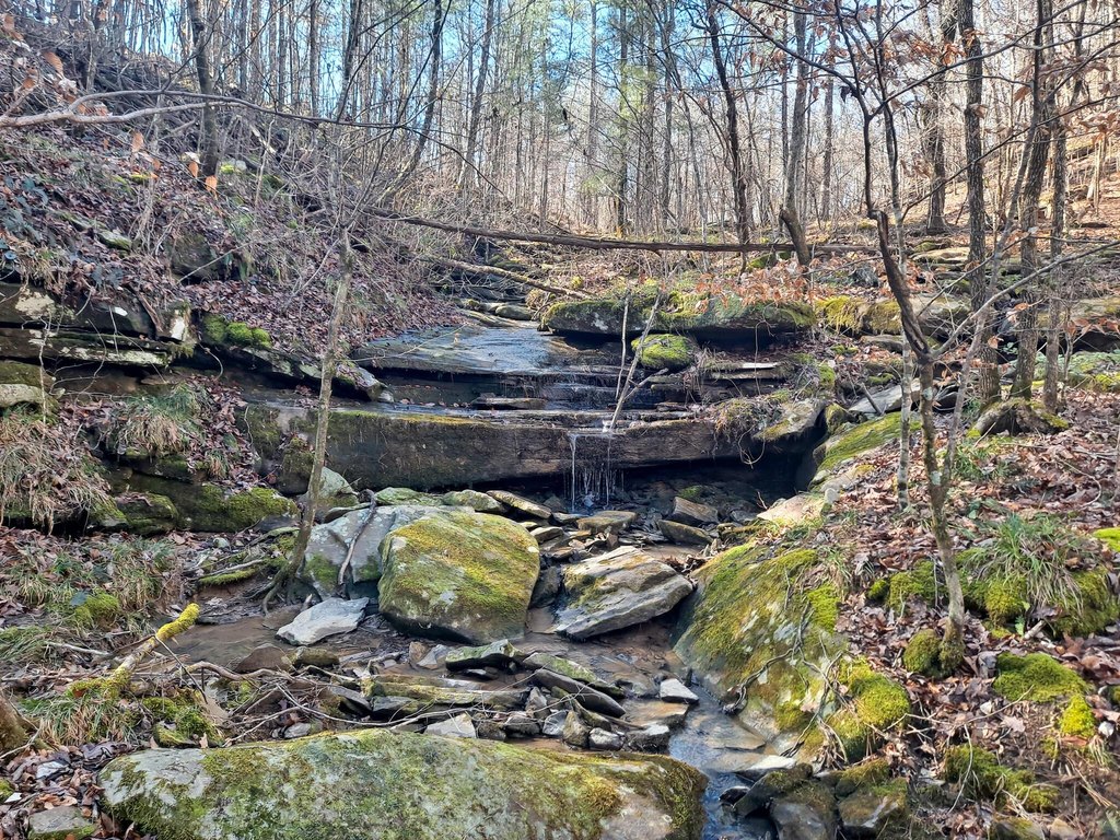 Picture 2