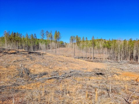 Rolling Timber and Recreation Tract