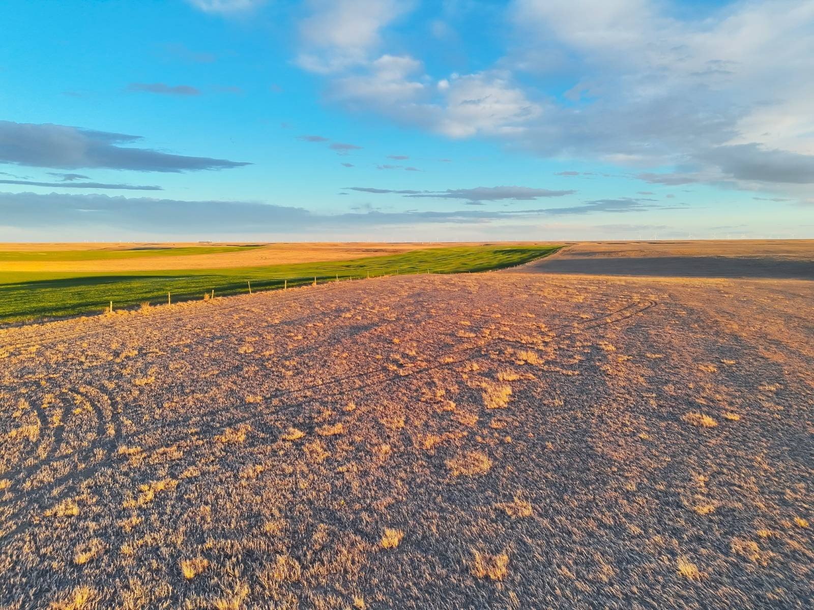 161.3 Acres of Expired CRP