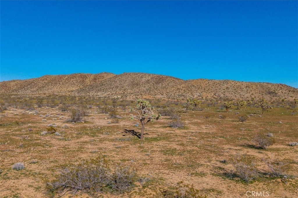 Picture 20