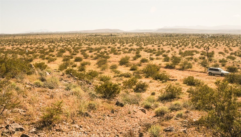 Picture 8