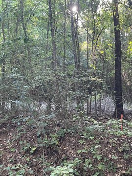 Land, Troup, TX