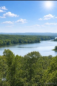 Waterfront Lot on Lake Dannelly