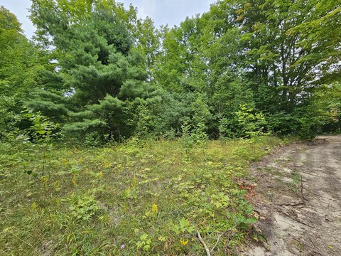 Land, Gould City, MI