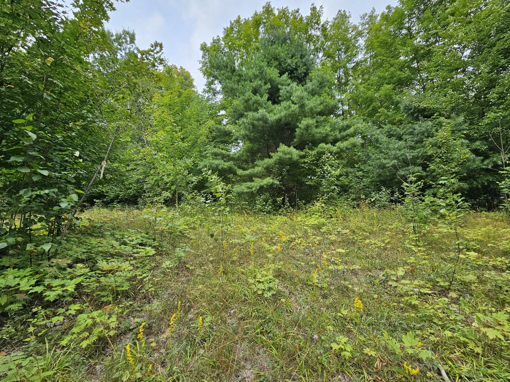 Picture 2