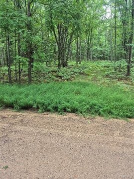 Vacant Land, Rose Lake Twp, MI