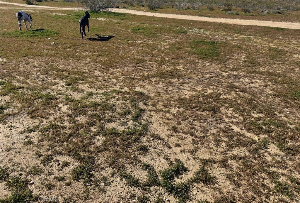 Hinkley, CA Land For Sale
