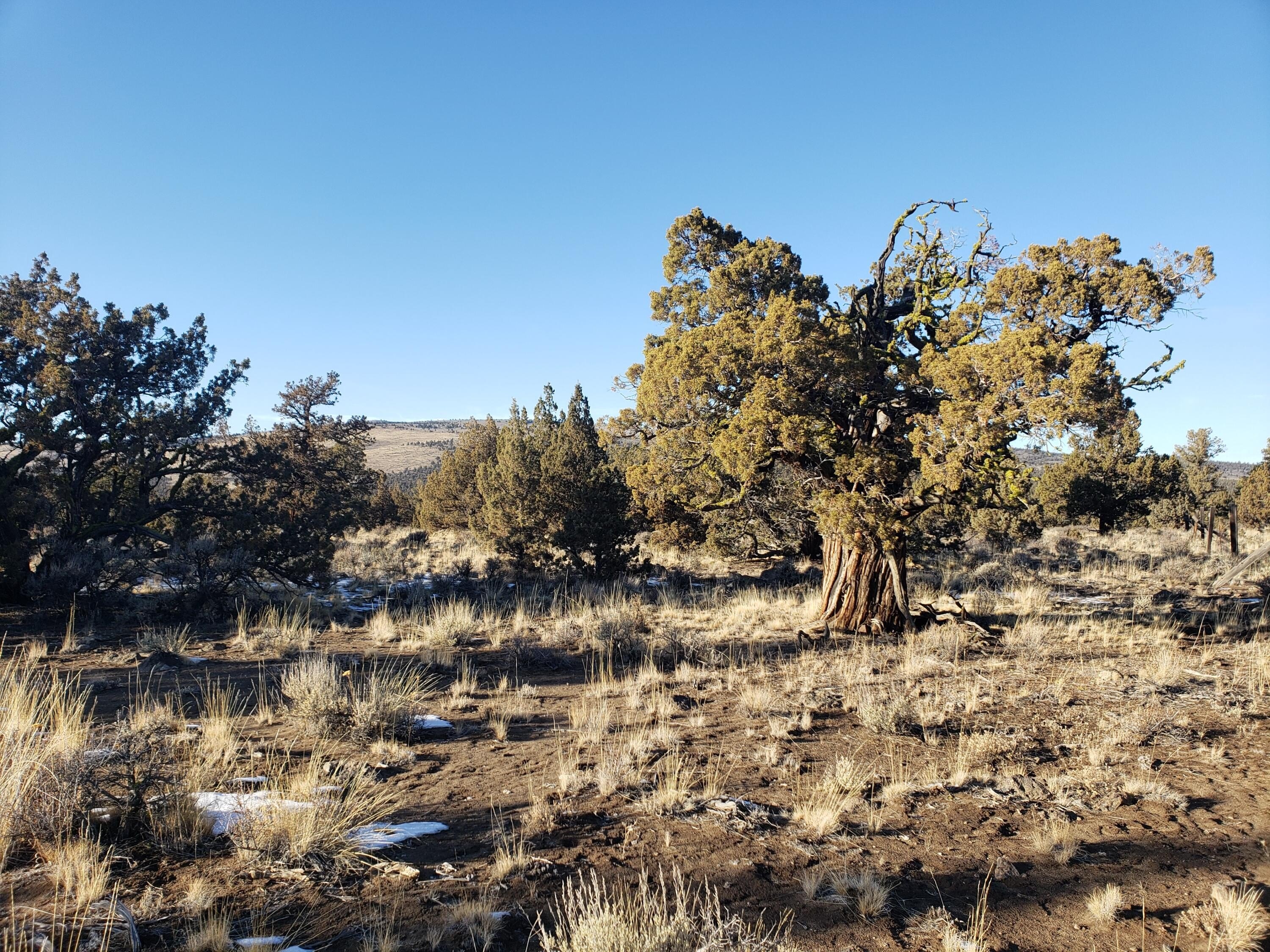 Oregon High-Desert Recreational Land Parcel