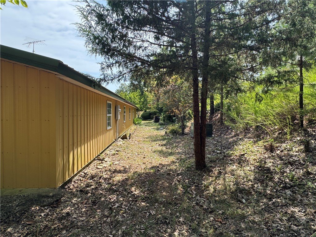 Picture 21
